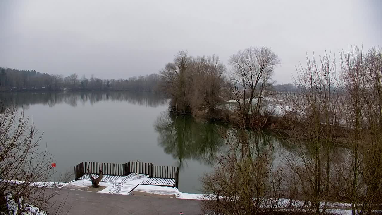 Webcam Ribnik Vrbje – Žalec