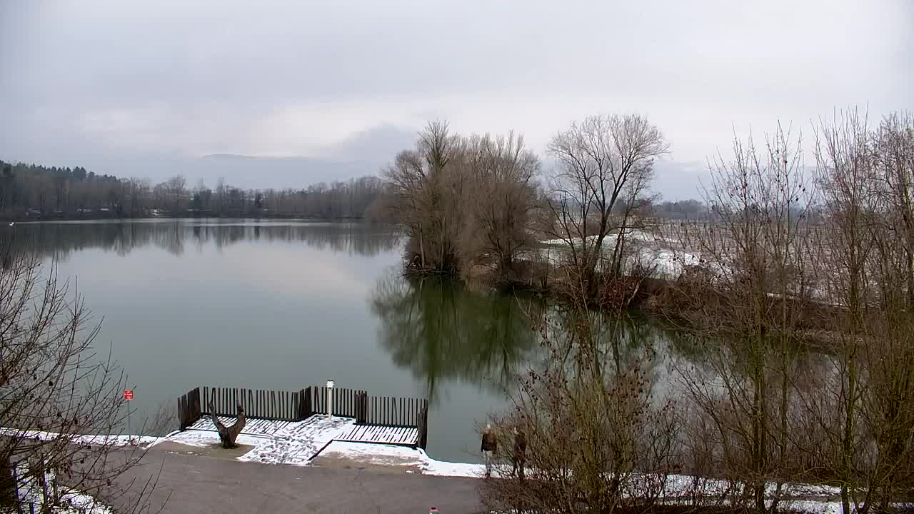 Webcam Ribnik Vrbje – Žalec