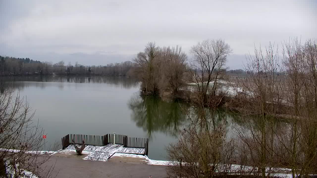 Webcam Ribnik Vrbje – Žalec