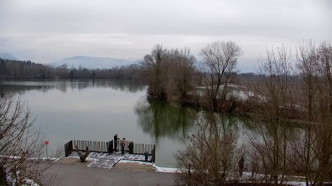 Spletna kamera Ribnik Vrbje – Žalec