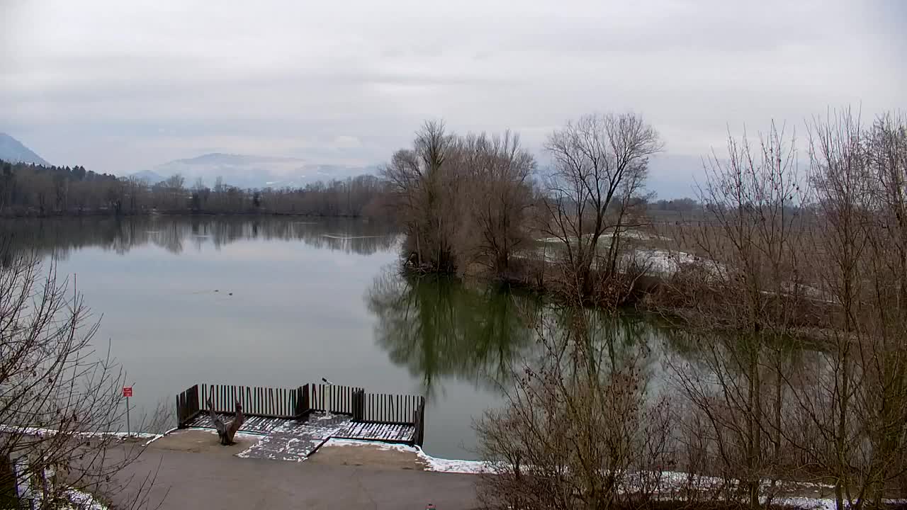 Web kamera Ribnik Vrbje – Žalec