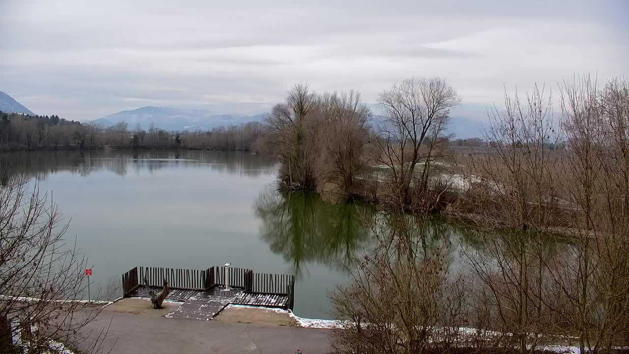 Webcam Ribnik Vrbje – Žalec