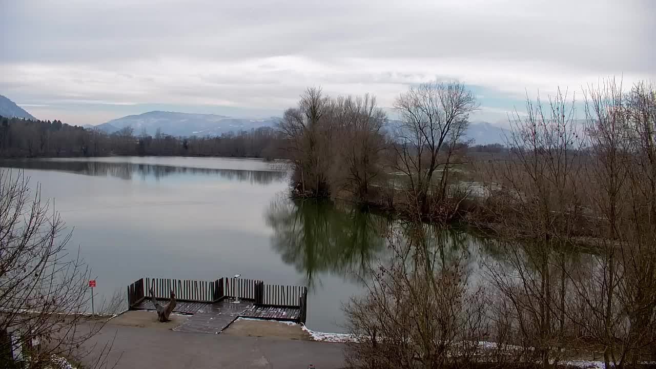 Web kamera Ribnik Vrbje – Žalec