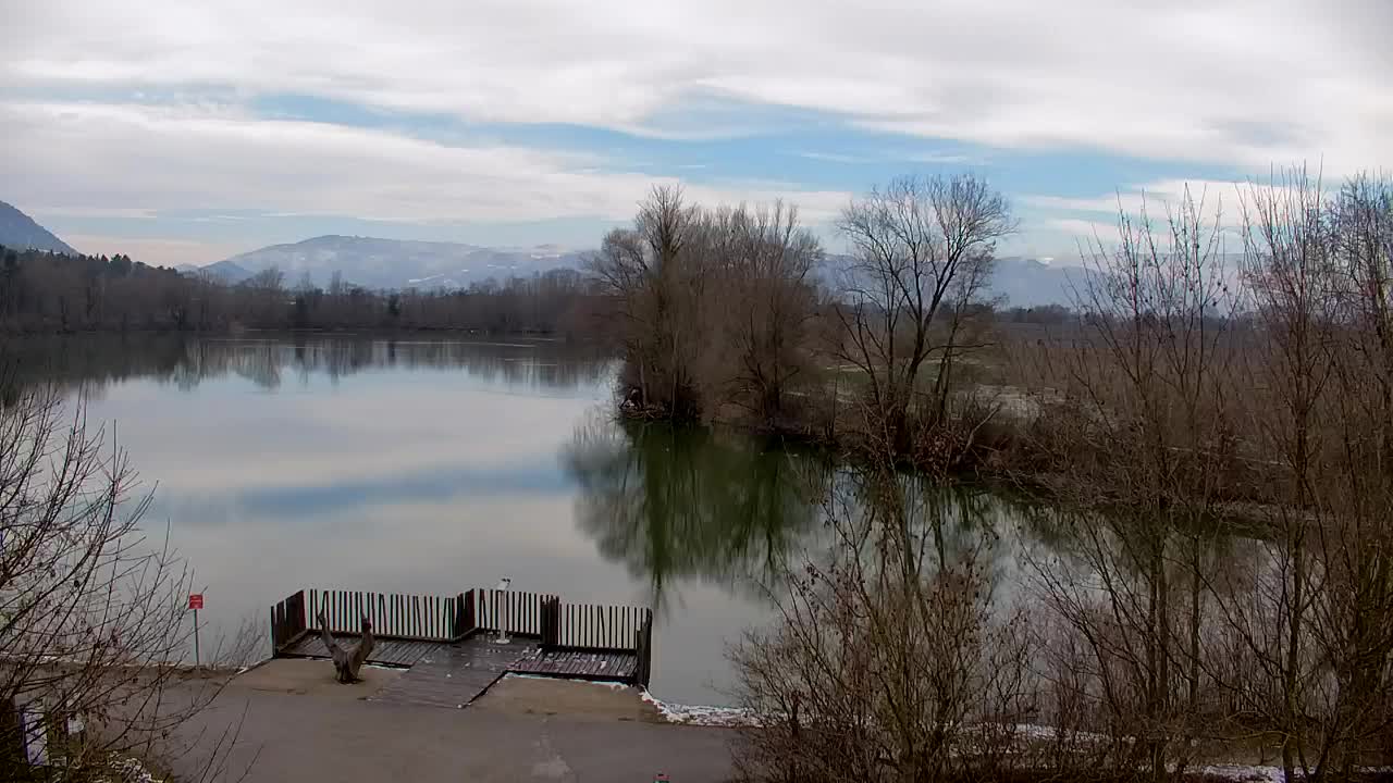 Web kamera Ribnik Vrbje – Žalec