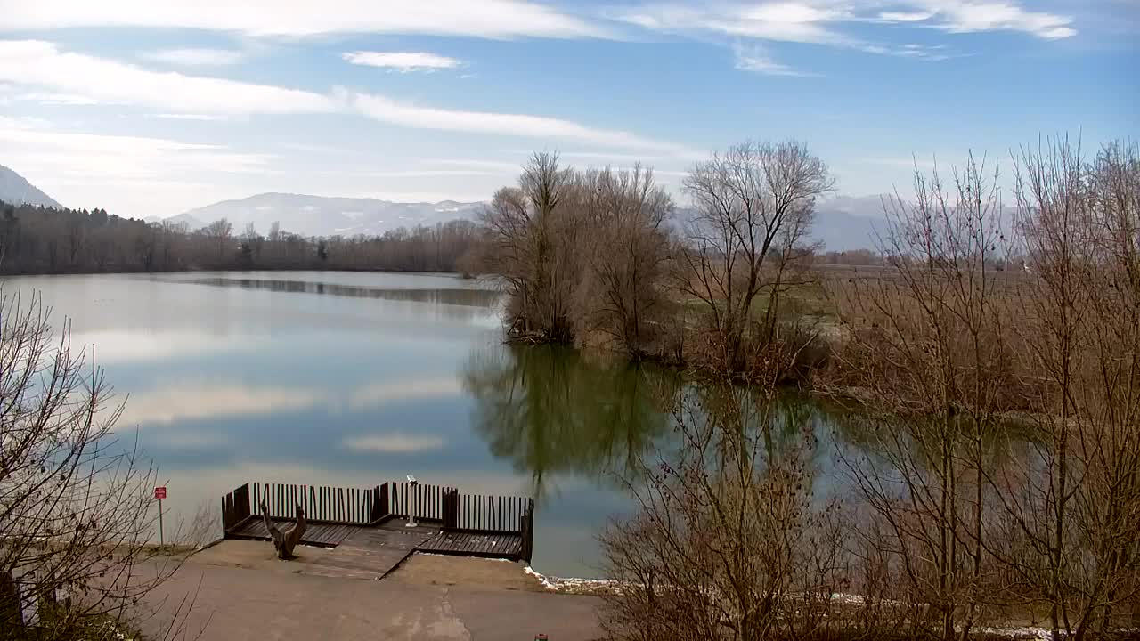 Webcam Ribnik Vrbje – Žalec