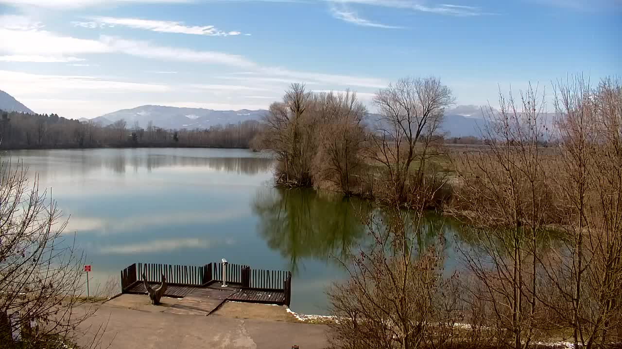 Webcam Ribnik Vrbje – Žalec