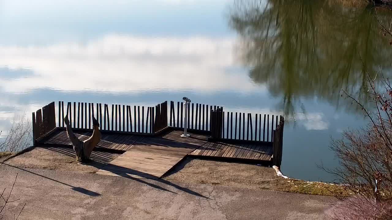 Webcam Ribnik Vrbje – Žalec