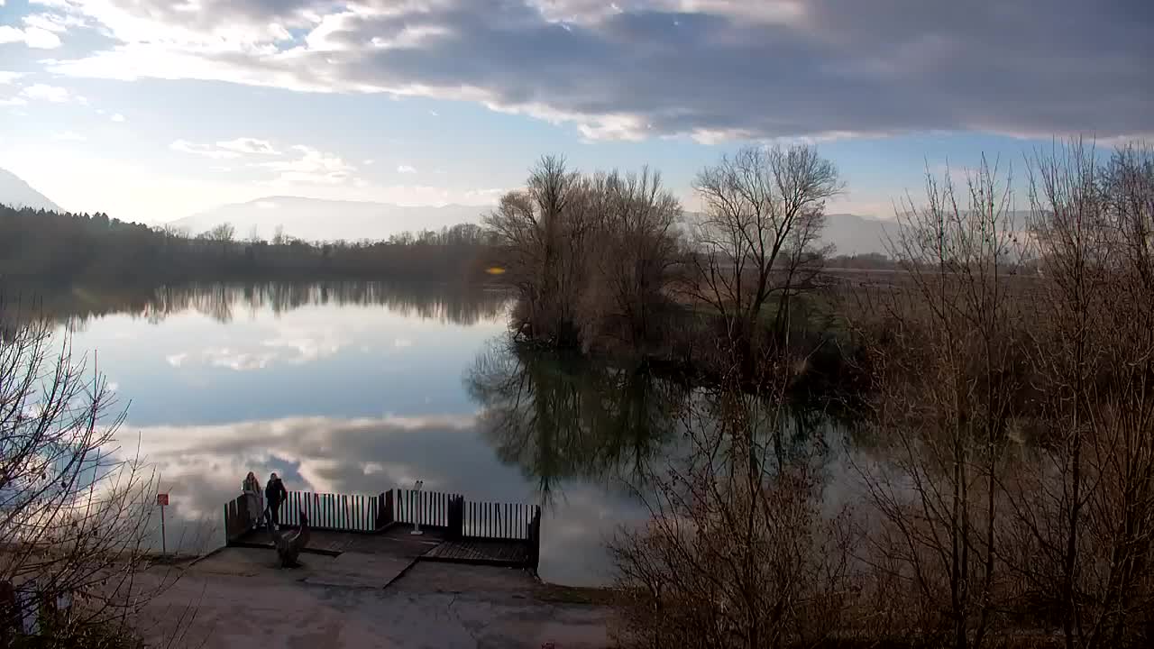 Web kamera Ribnik Vrbje – Žalec