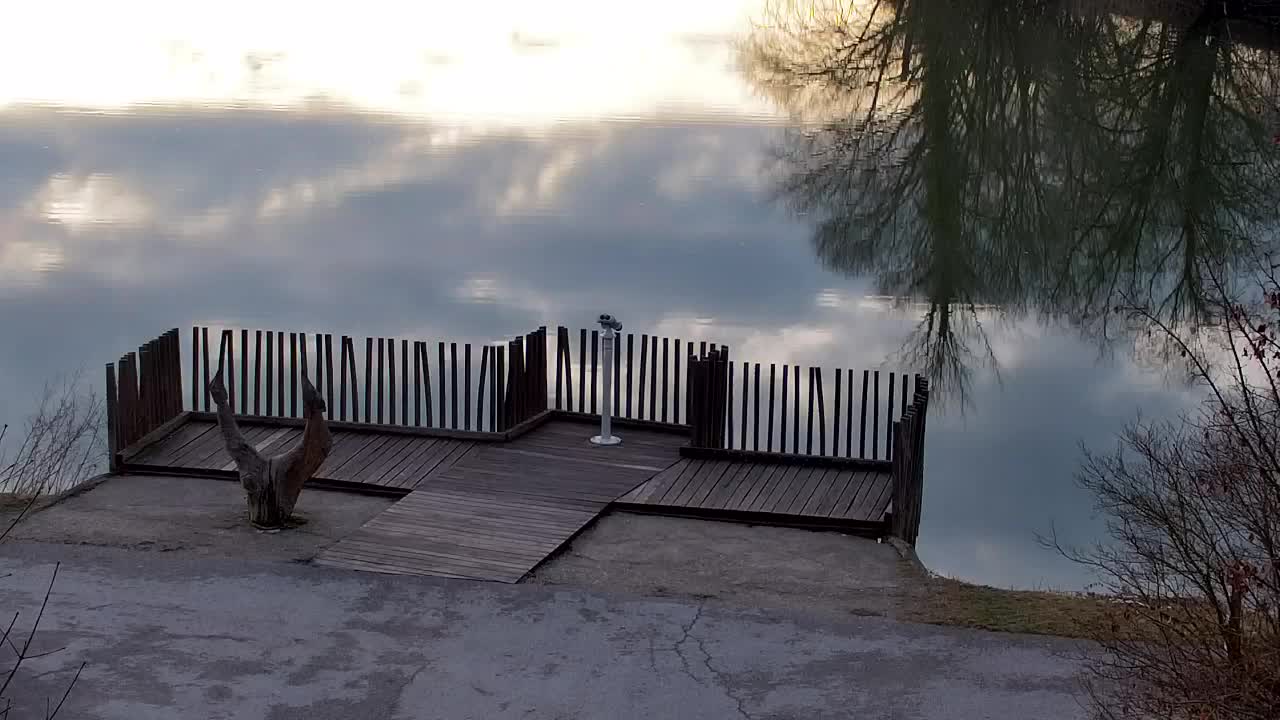 Webcam Ribnik Vrbje – Žalec