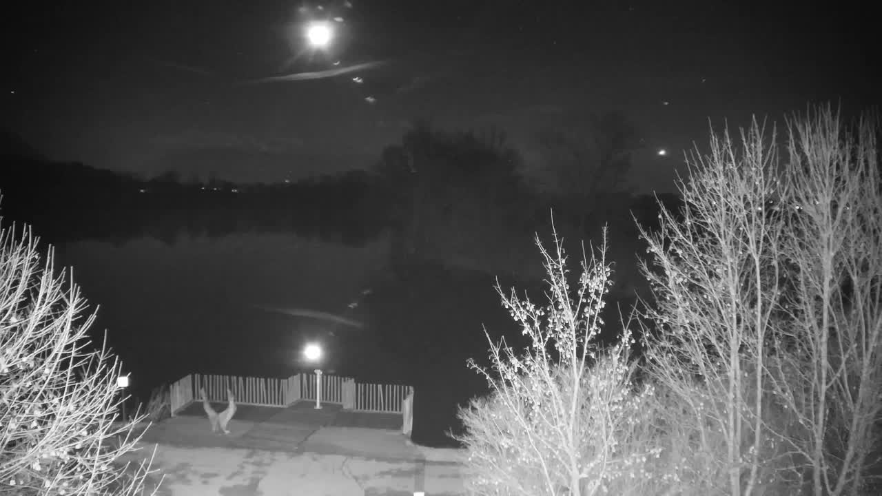 Webcam Ribnik Vrbje – Žalec