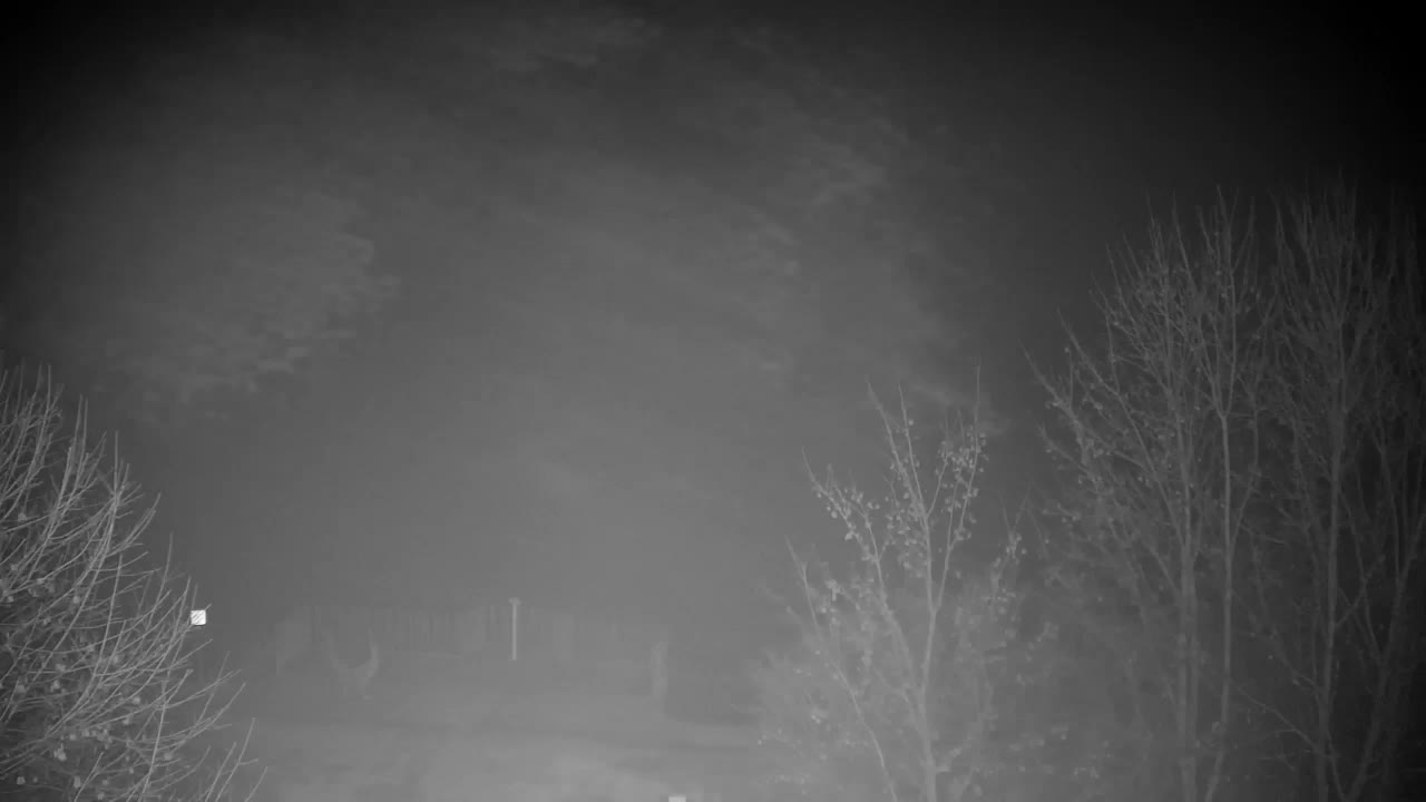 Webcam Ribnik Vrbje – Žalec