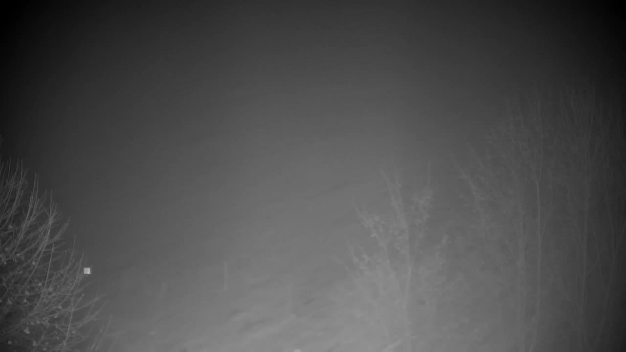 Web kamera Ribnik Vrbje – Žalec