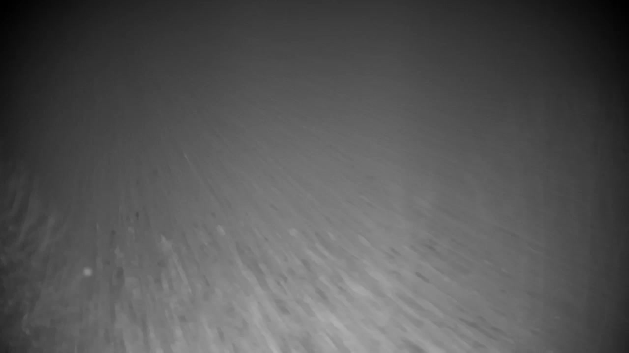 Webcam Ribnik Vrbje – Žalec