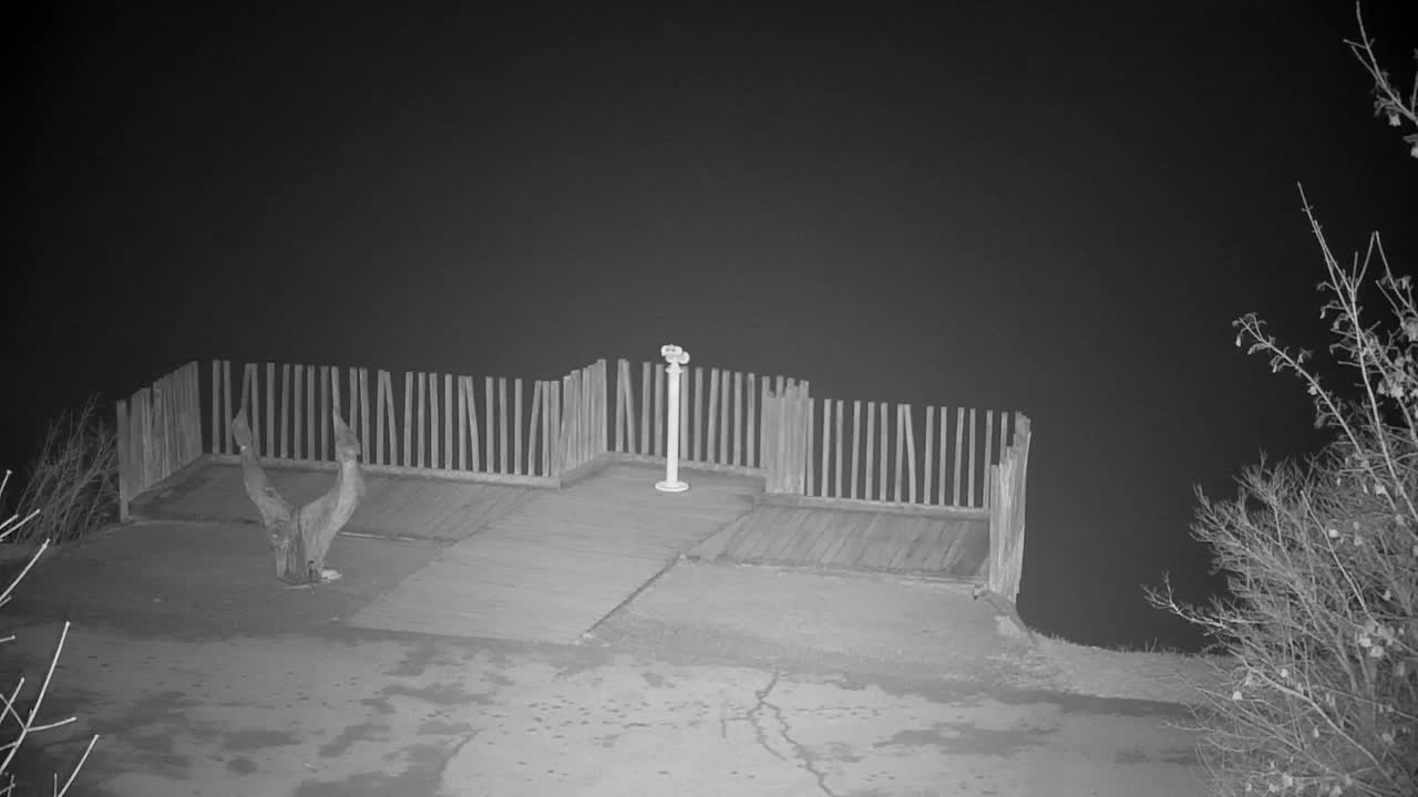 Webcam Ribnik Vrbje – Žalec