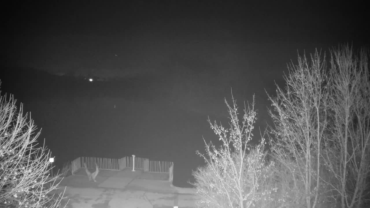 Webcam Ribnik Vrbje – Žalec