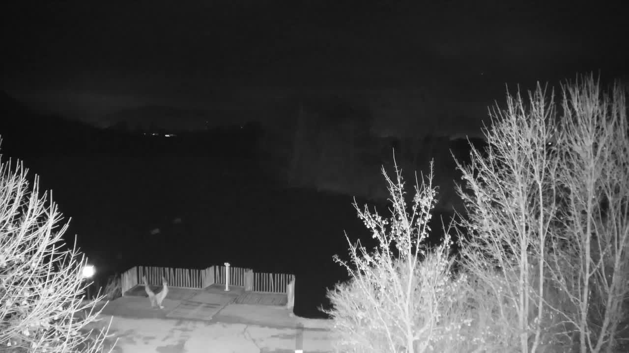 Spletna kamera Ribnik Vrbje – Žalec