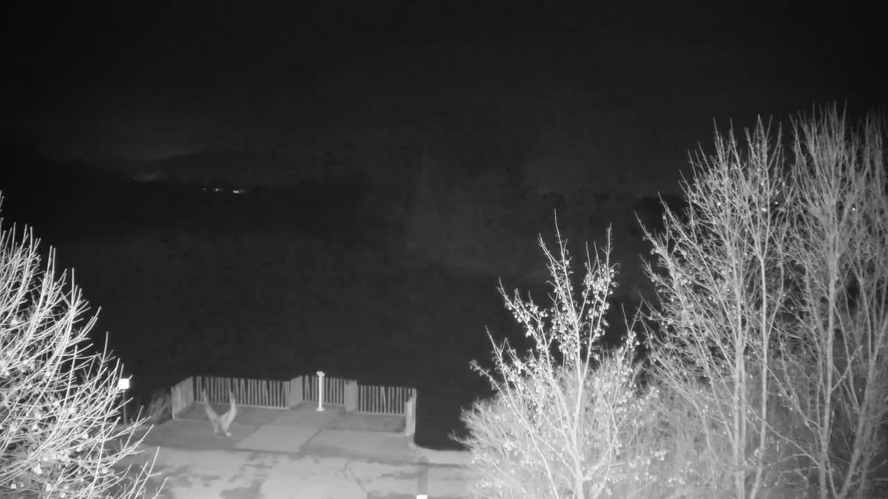 Web kamera Ribnik Vrbje – Žalec