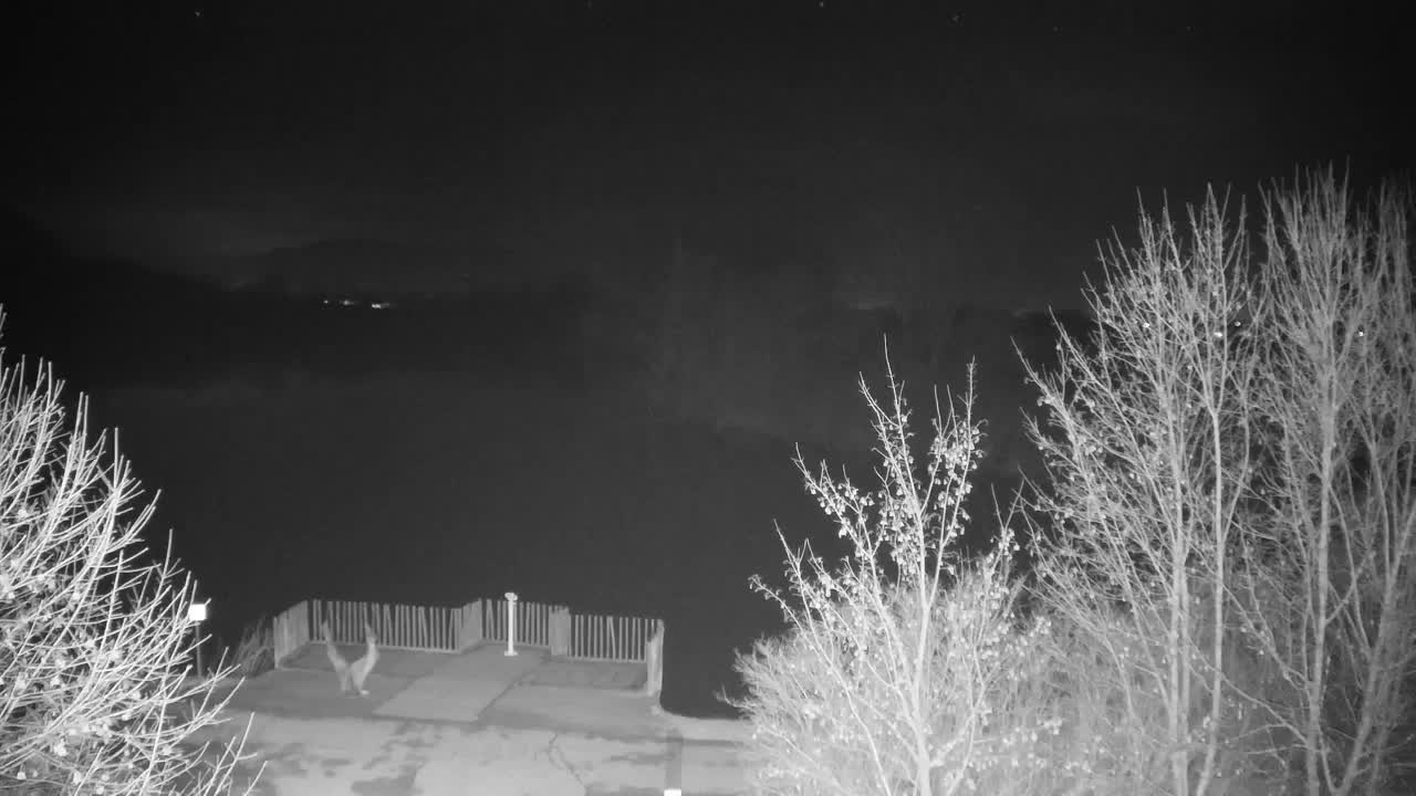 Webcam Ribnik Vrbje – Žalec