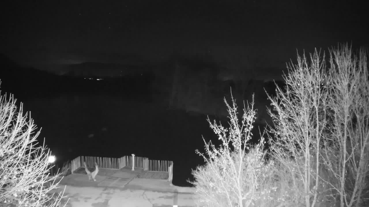 Webcam Ribnik Vrbje – Žalec