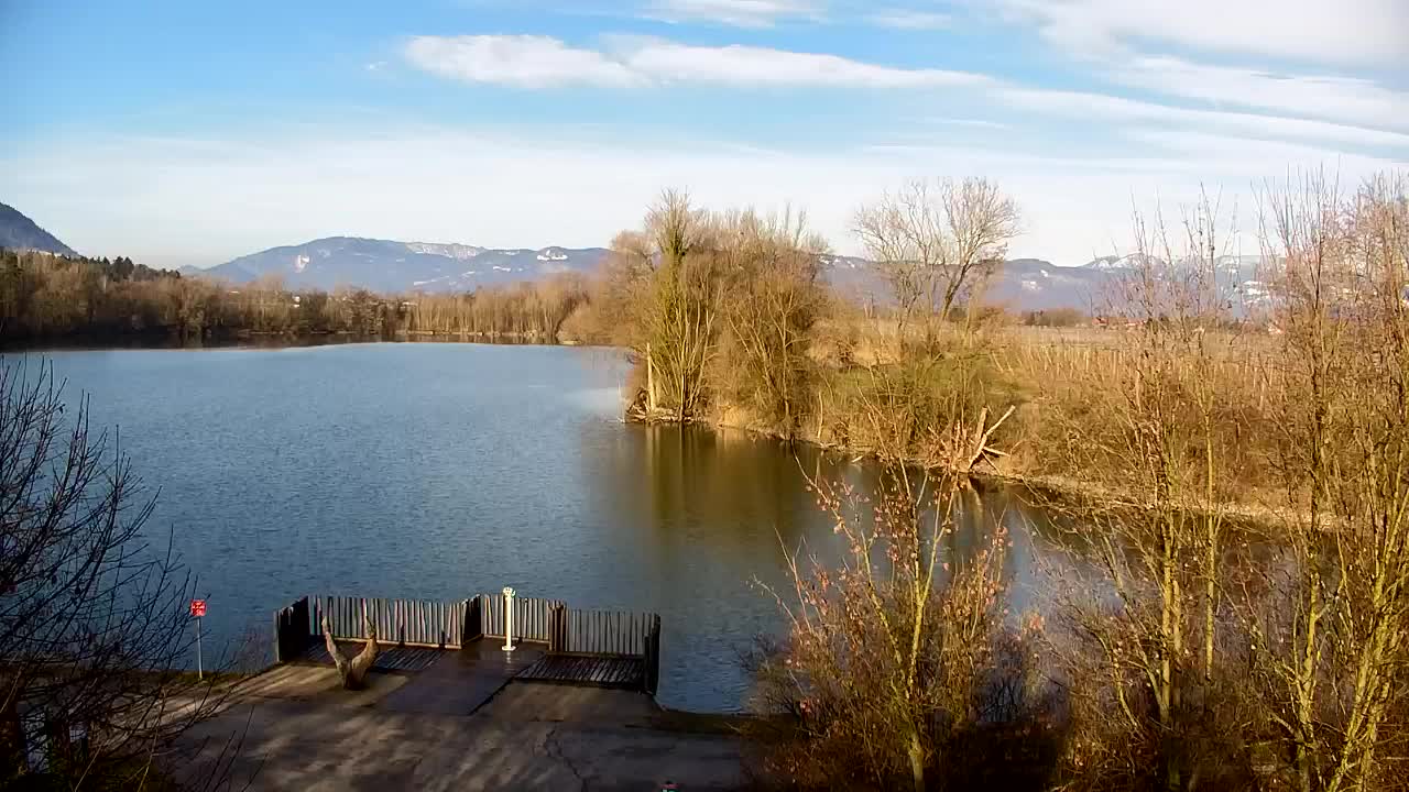 Webcam Ribnik Vrbje – Žalec