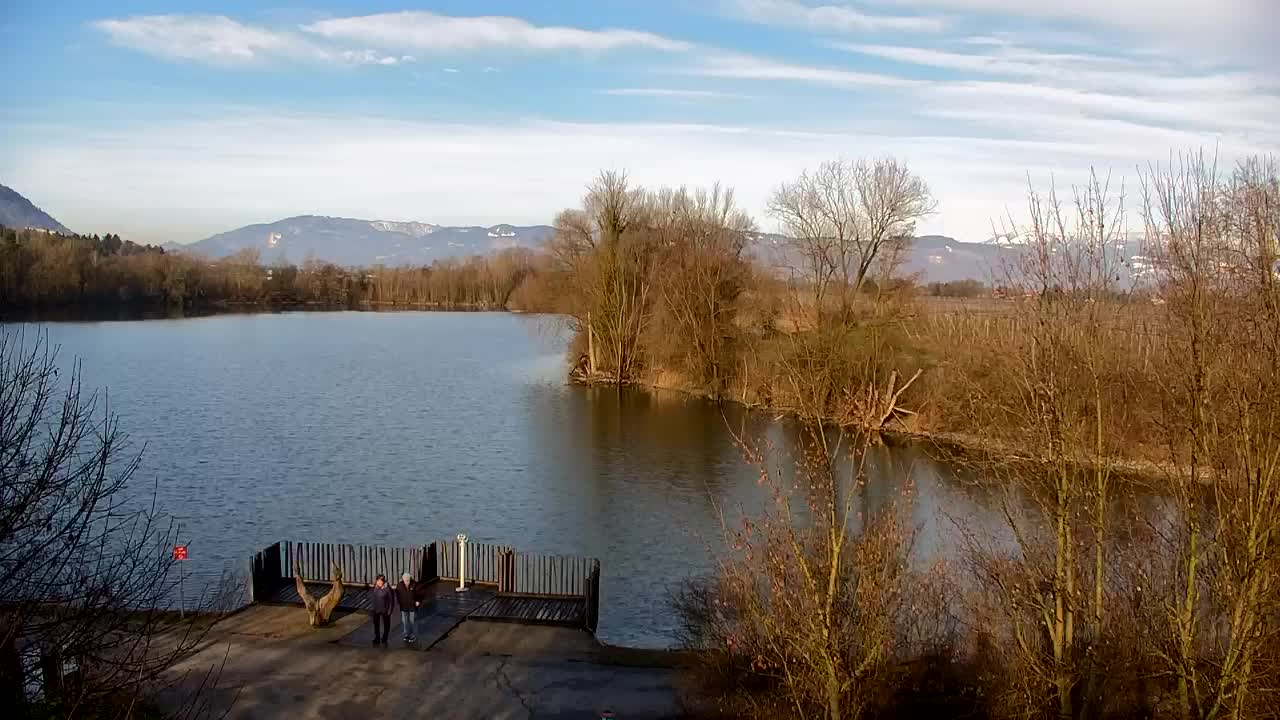 Spletna kamera Ribnik Vrbje – Žalec