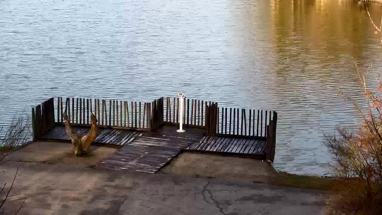 Webcam Ribnik Vrbje – Žalec