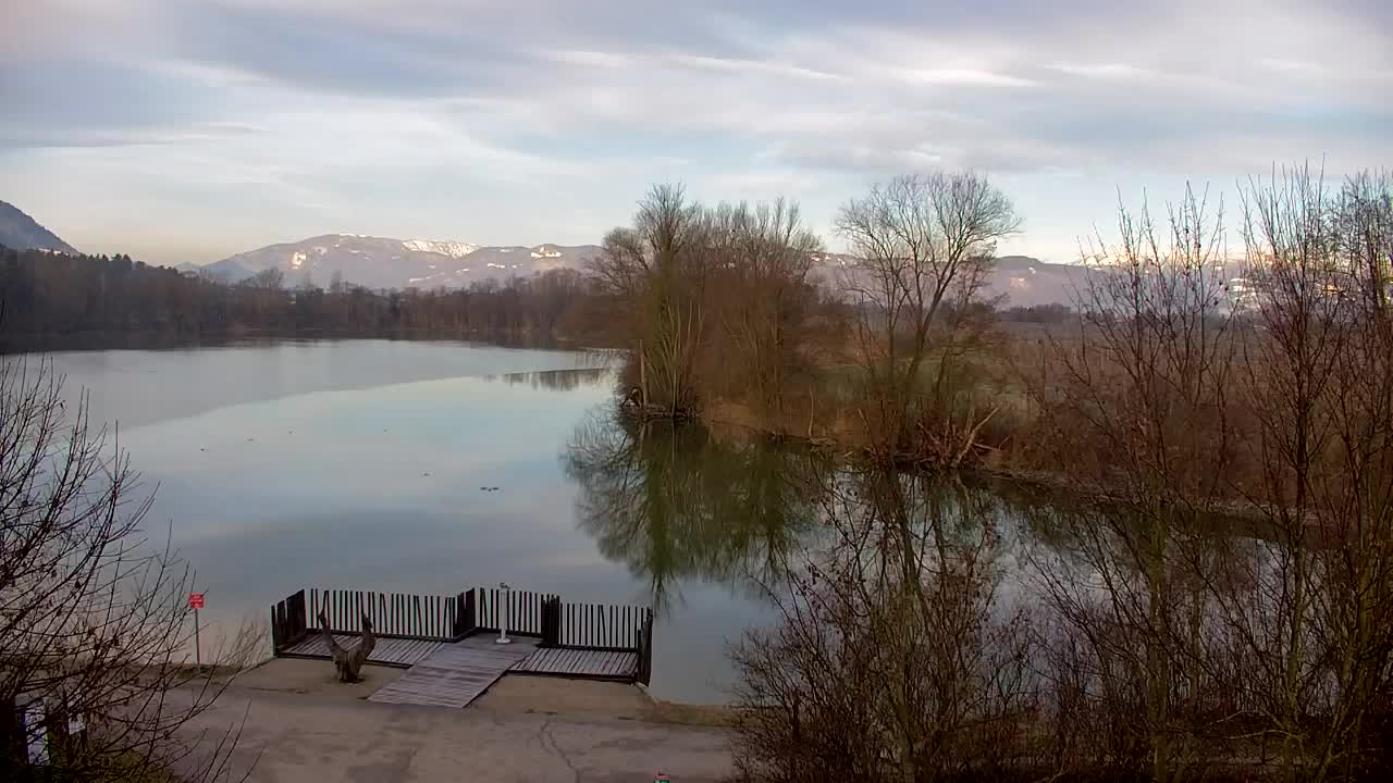 Spletna kamera Ribnik Vrbje – Žalec