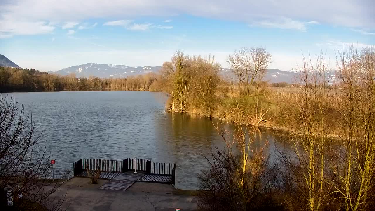 Webcam Ribnik Vrbje – Žalec