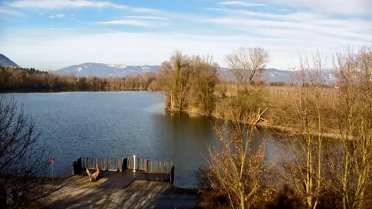 Web kamera Ribnik Vrbje – Žalec