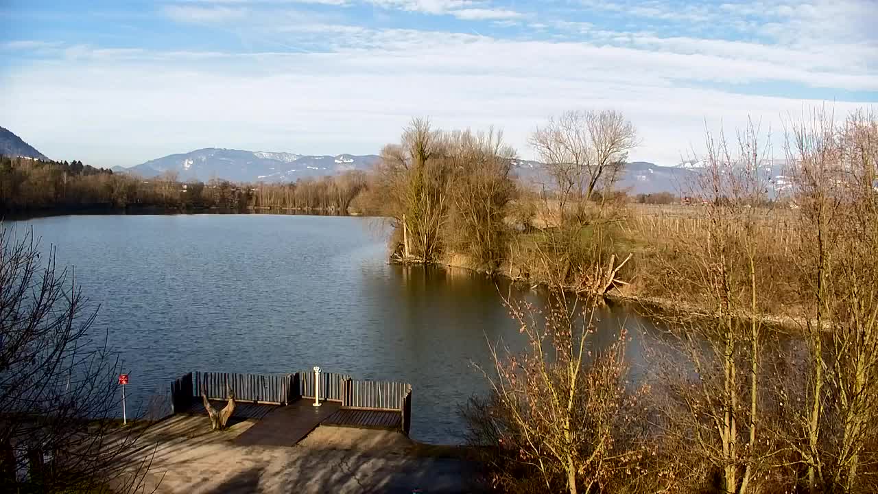 Webcam Ribnik Vrbje – Žalec