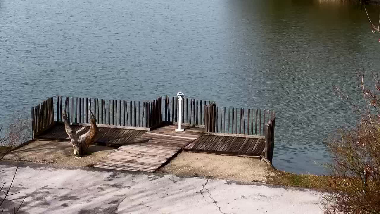 Webcam Ribnik Vrbje – Žalec