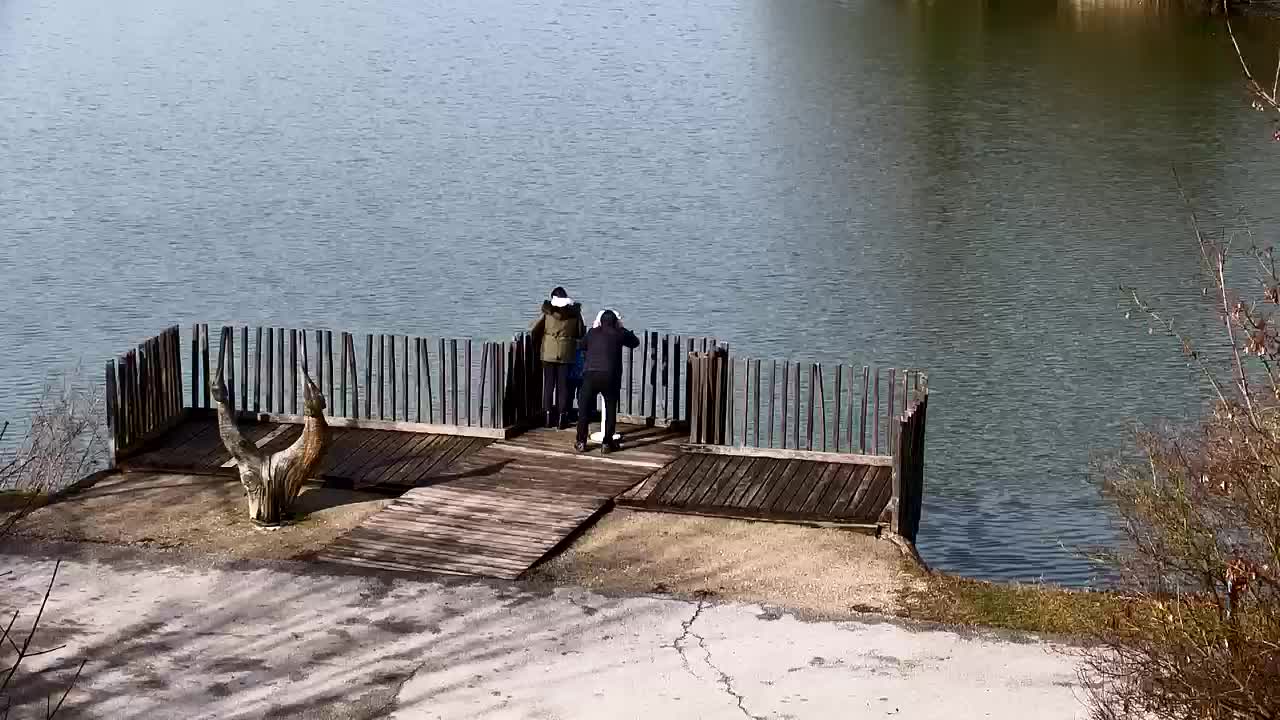 Webcam Ribnik Vrbje – Žalec