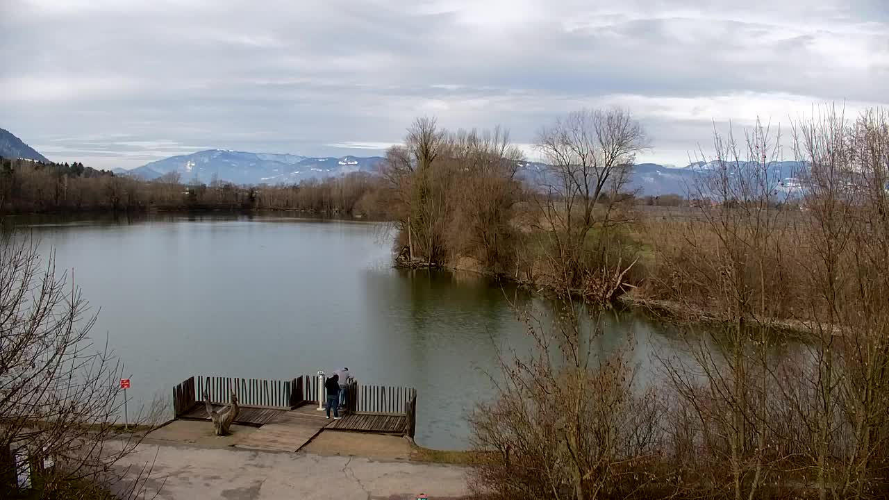 Webcam Ribnik Vrbje – Žalec