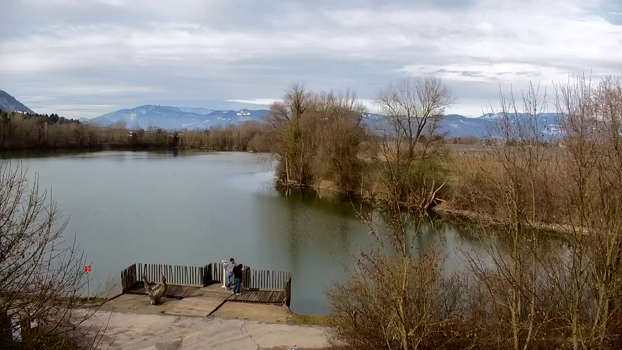 Webcam Ribnik Vrbje – Žalec