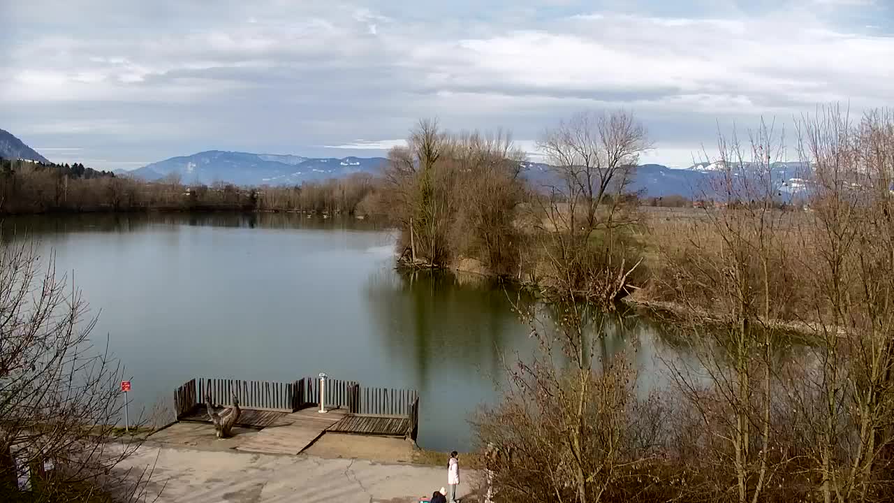 Spletna kamera Ribnik Vrbje – Žalec