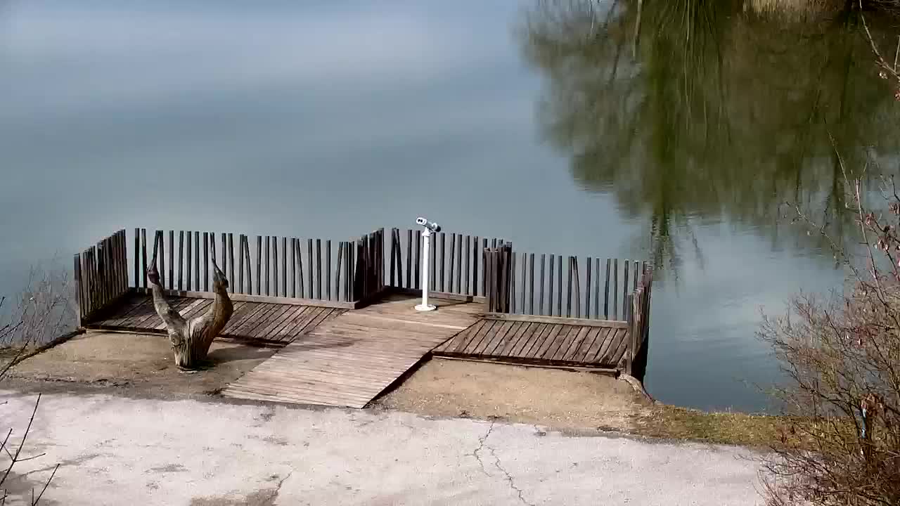 Webcam Ribnik Vrbje – Žalec