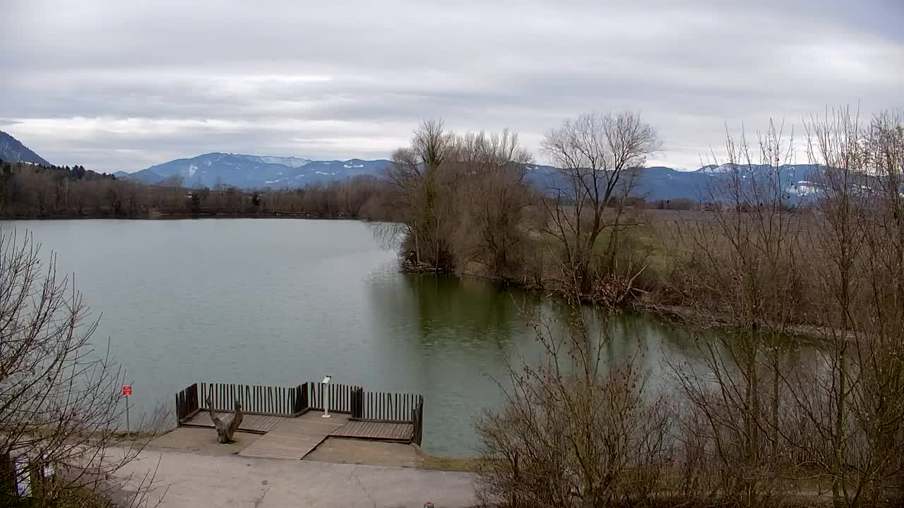 Webcam Ribnik Vrbje – Žalec