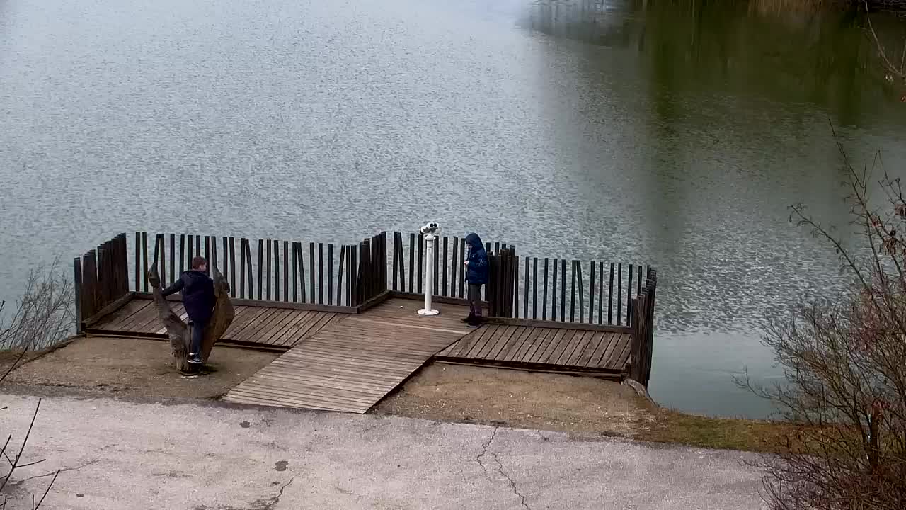 Webcam Ribnik Vrbje – Žalec