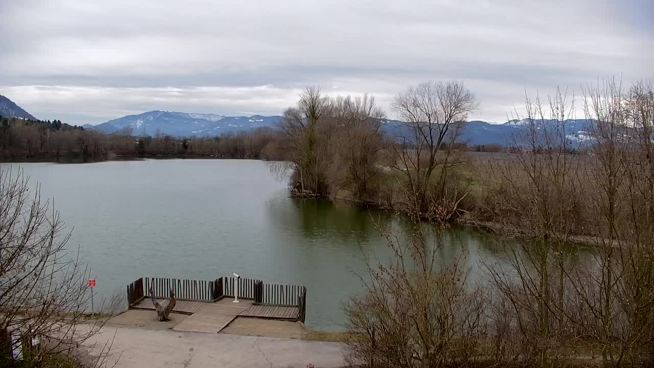 Webcam Ribnik Vrbje – Žalec