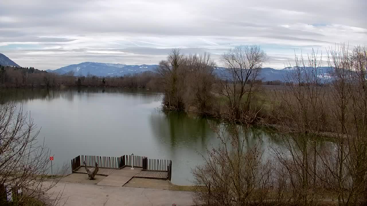 Webcam Ribnik Vrbje – Žalec