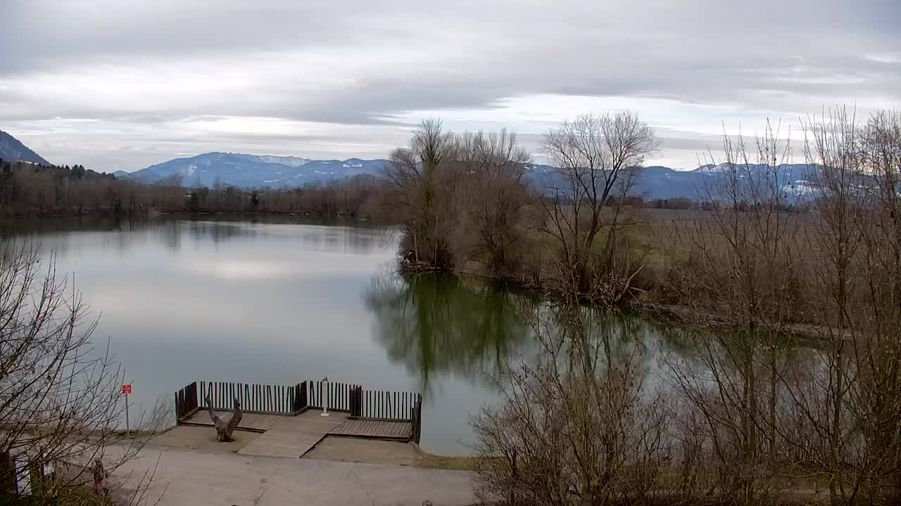 Webcam Ribnik Vrbje – Žalec