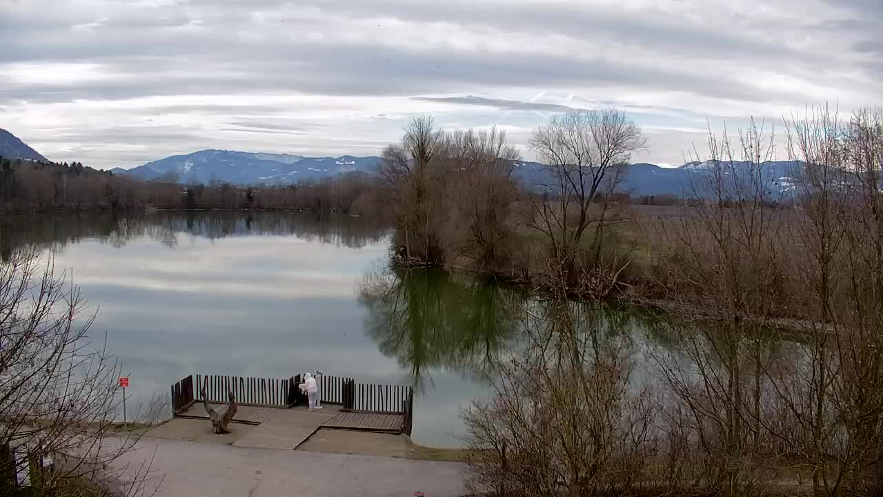 Webcam Ribnik Vrbje – Žalec