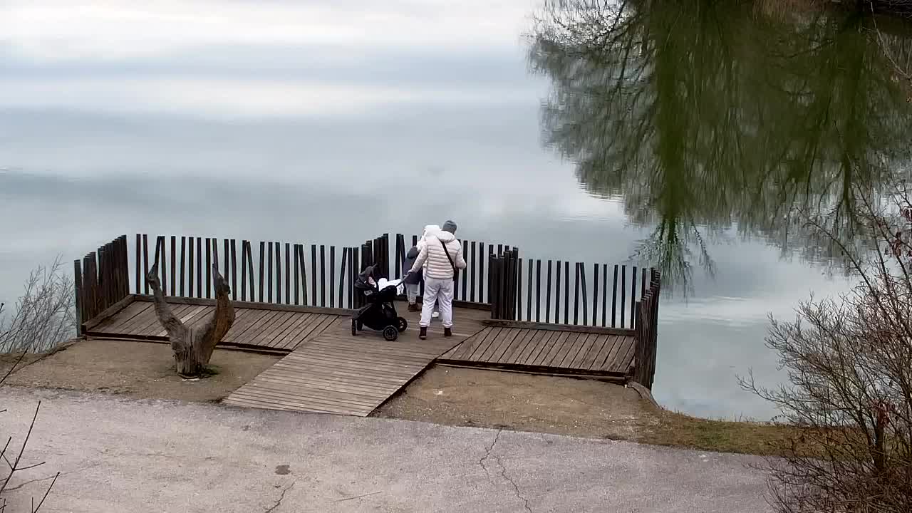 Spletna kamera Ribnik Vrbje – Žalec