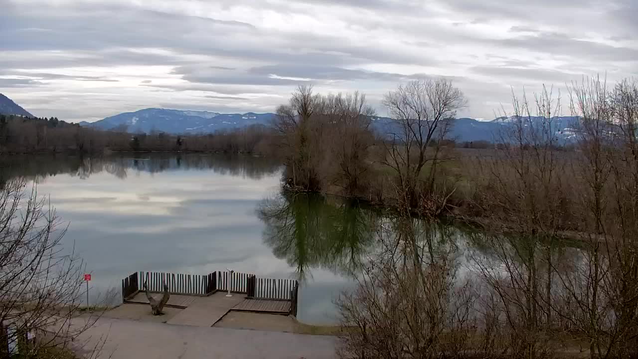 Webcam Ribnik Vrbje – Žalec