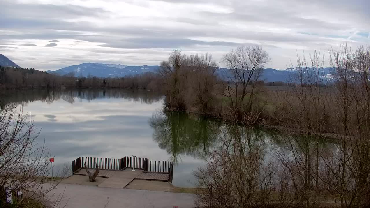 Webcam Ribnik Vrbje – Žalec