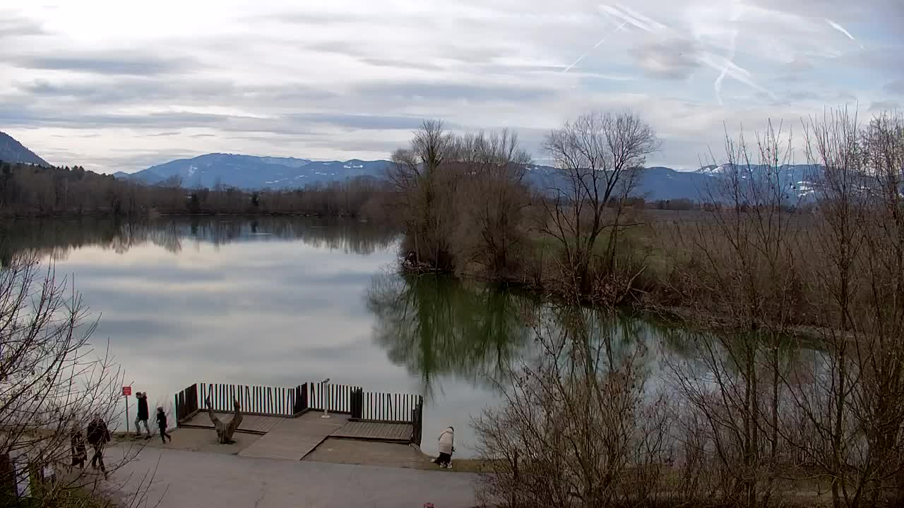 Spletna kamera Ribnik Vrbje – Žalec