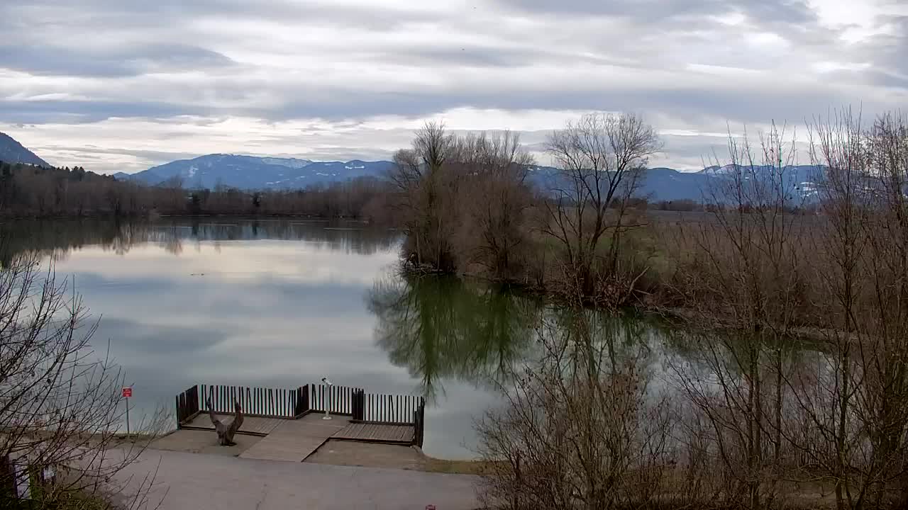 Webcam Ribnik Vrbje – Žalec