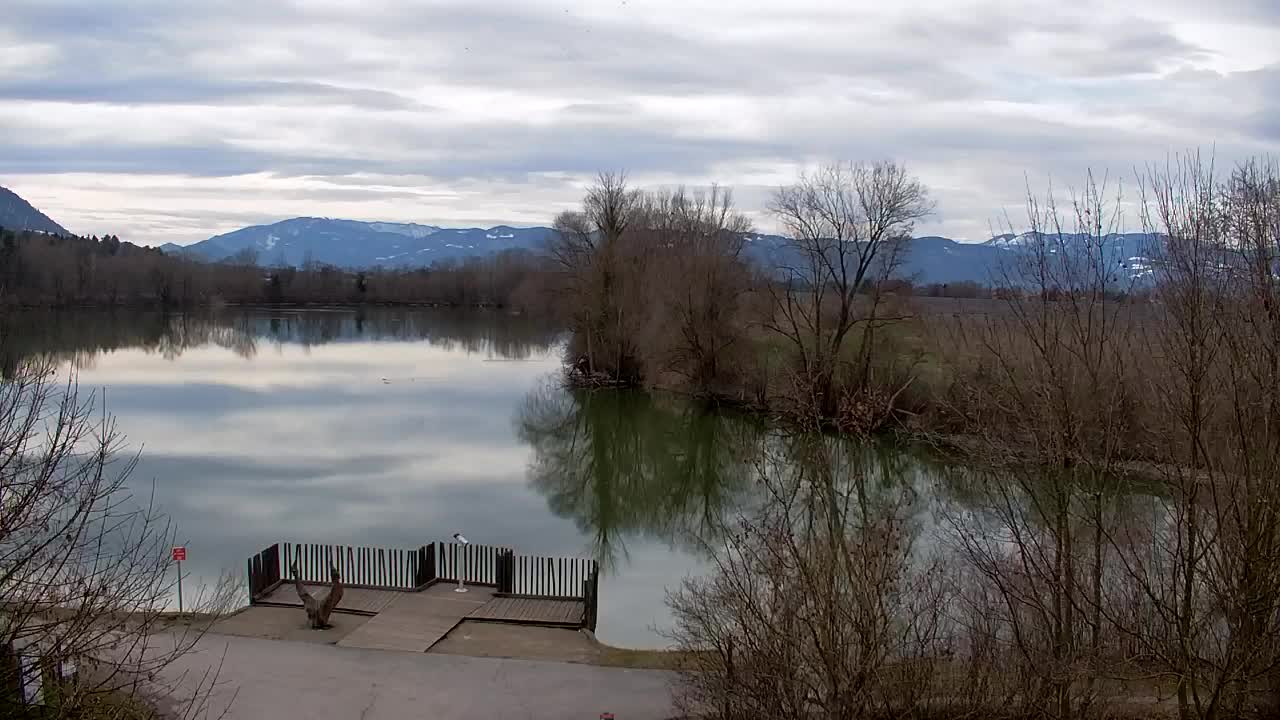 Webcam Ribnik Vrbje – Žalec