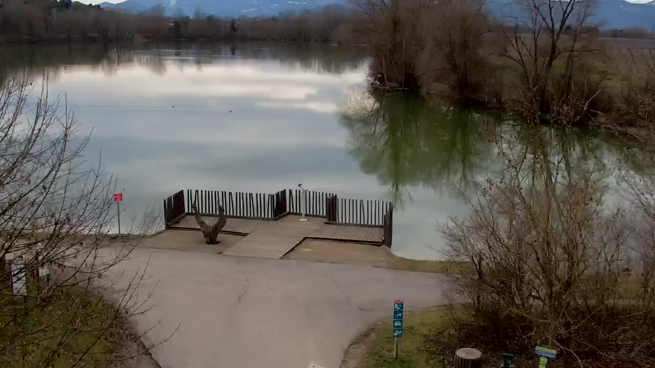 Webcam Ribnik Vrbje – Žalec