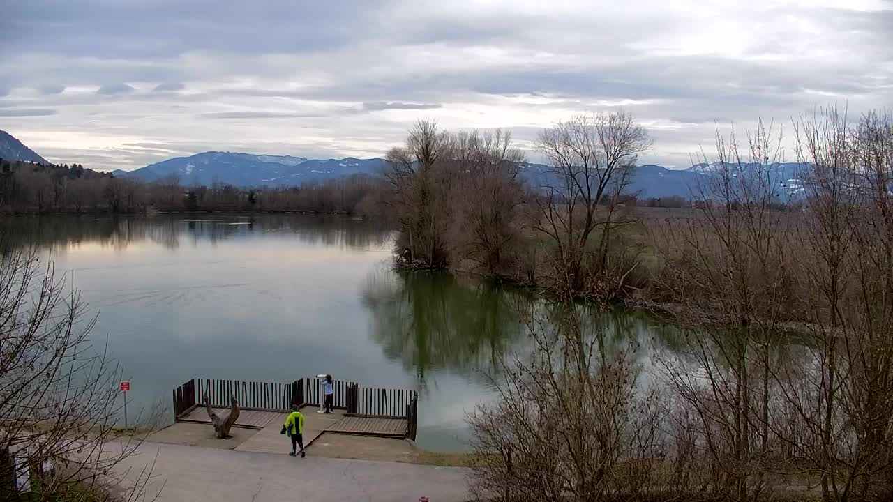 Web kamera Ribnik Vrbje – Žalec